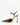 VESPER Golden Slingback